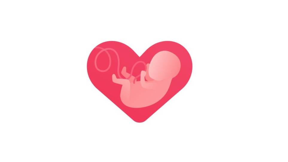 fetal-heart.jpg